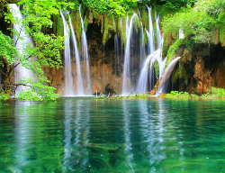 Hồ sơ Nguyễn Hoàng Duy